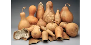 Challenge Gourd Box