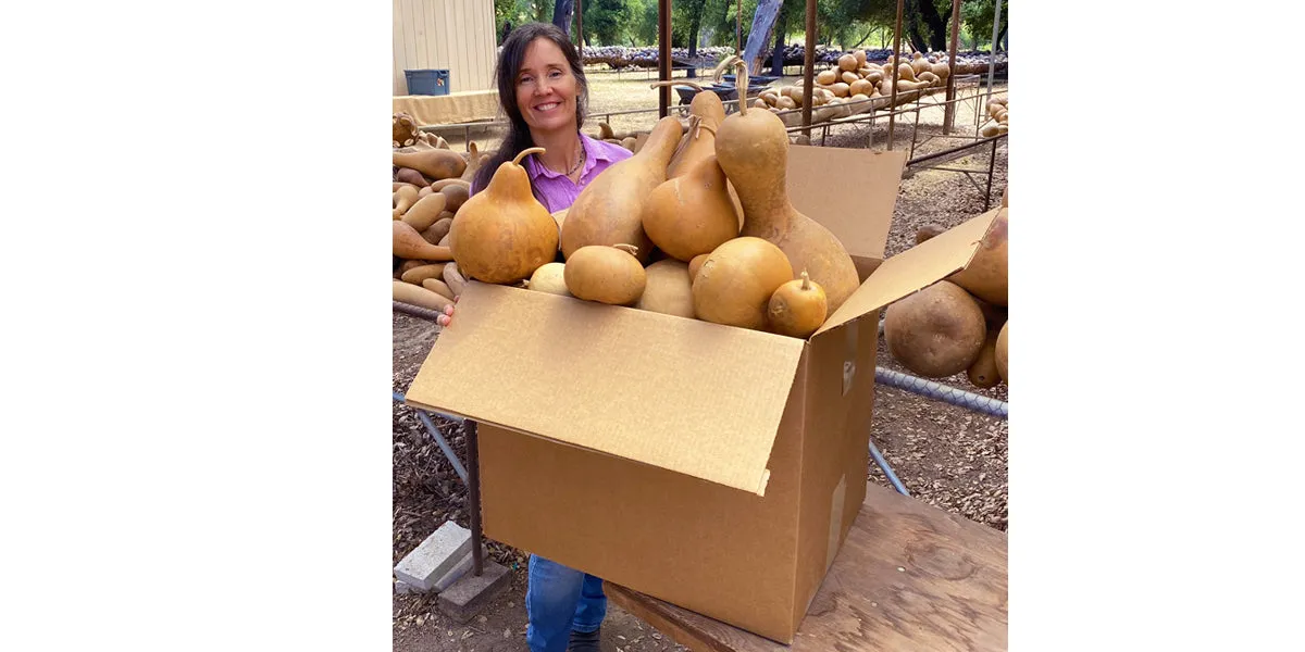 Challenge Gourd Box