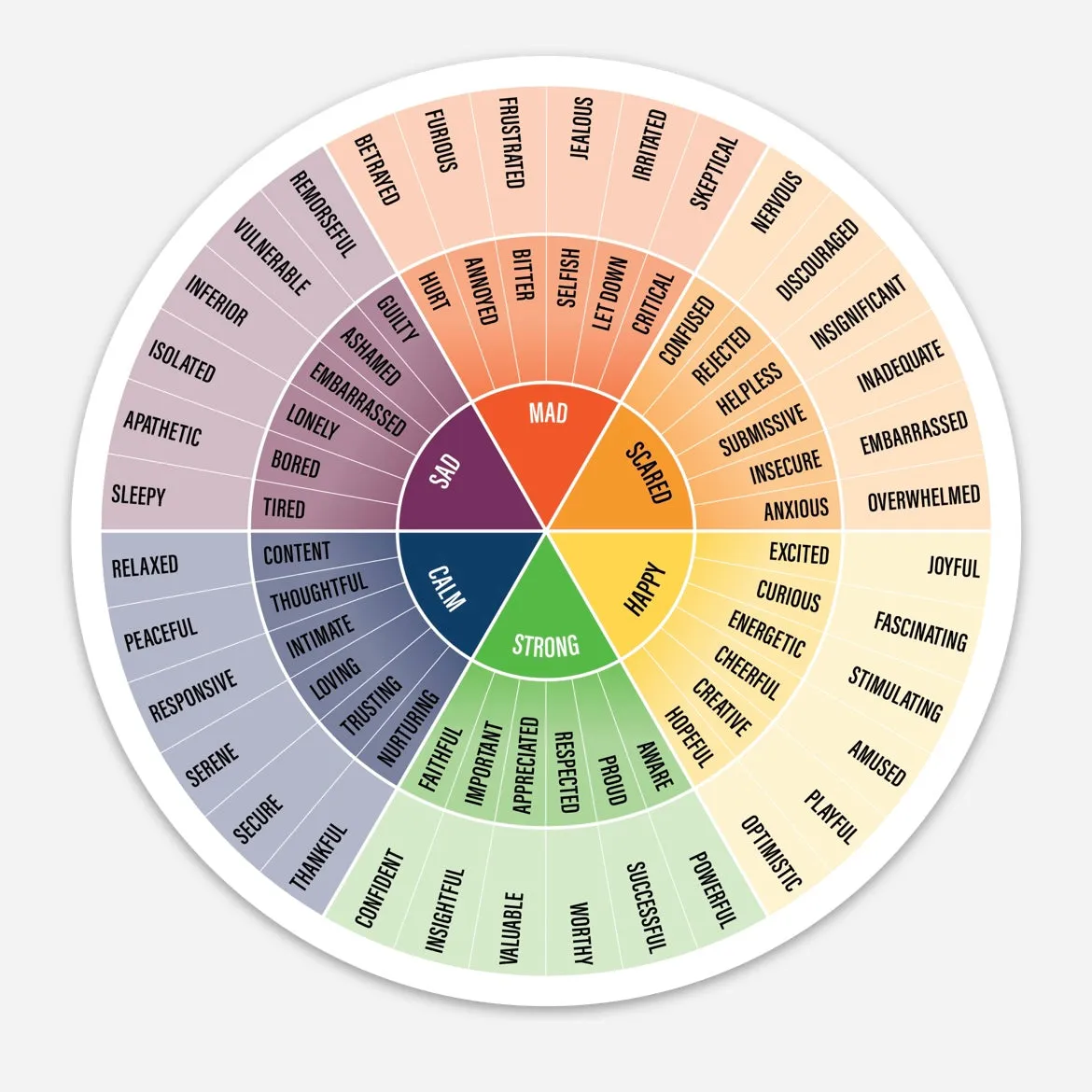 Emotion Wheel Magnet