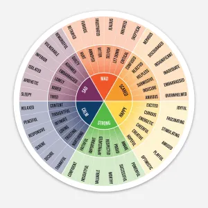 Emotion Wheel Magnet