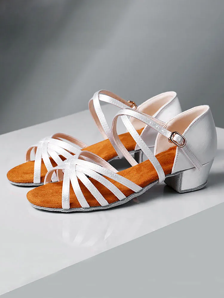 Satin Latin Dance Shoes Indoor Fur Sole Practice Dance Shoes